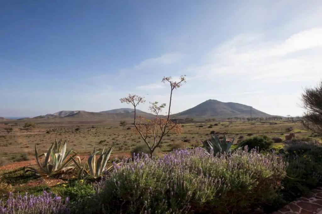 El Risco Colorado, Cabo De Gata Villa Rodalquilar Luaran gambar